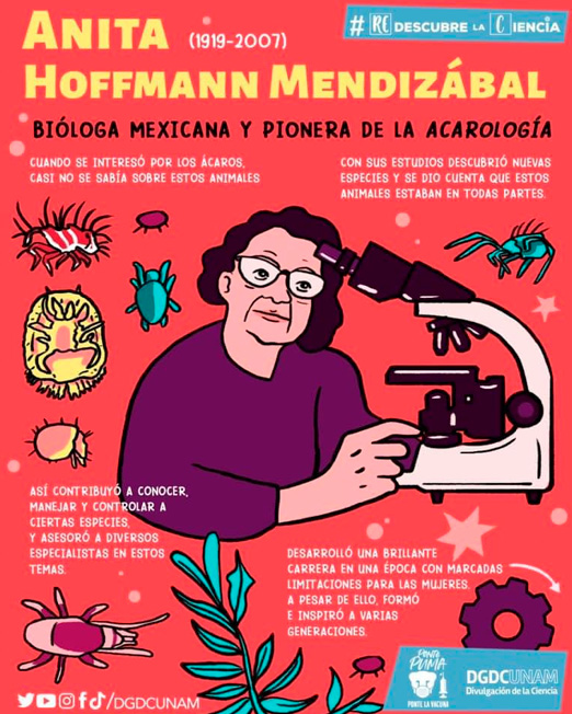 Anita Hoffman Mendizábal,biología,acarología,insectos